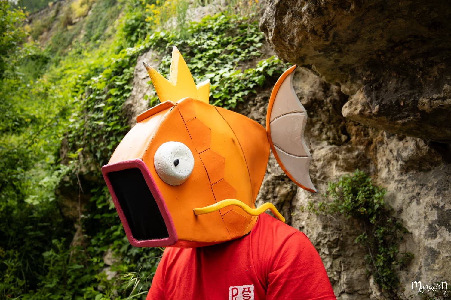 Ballade à Poitiers  - Photo 5