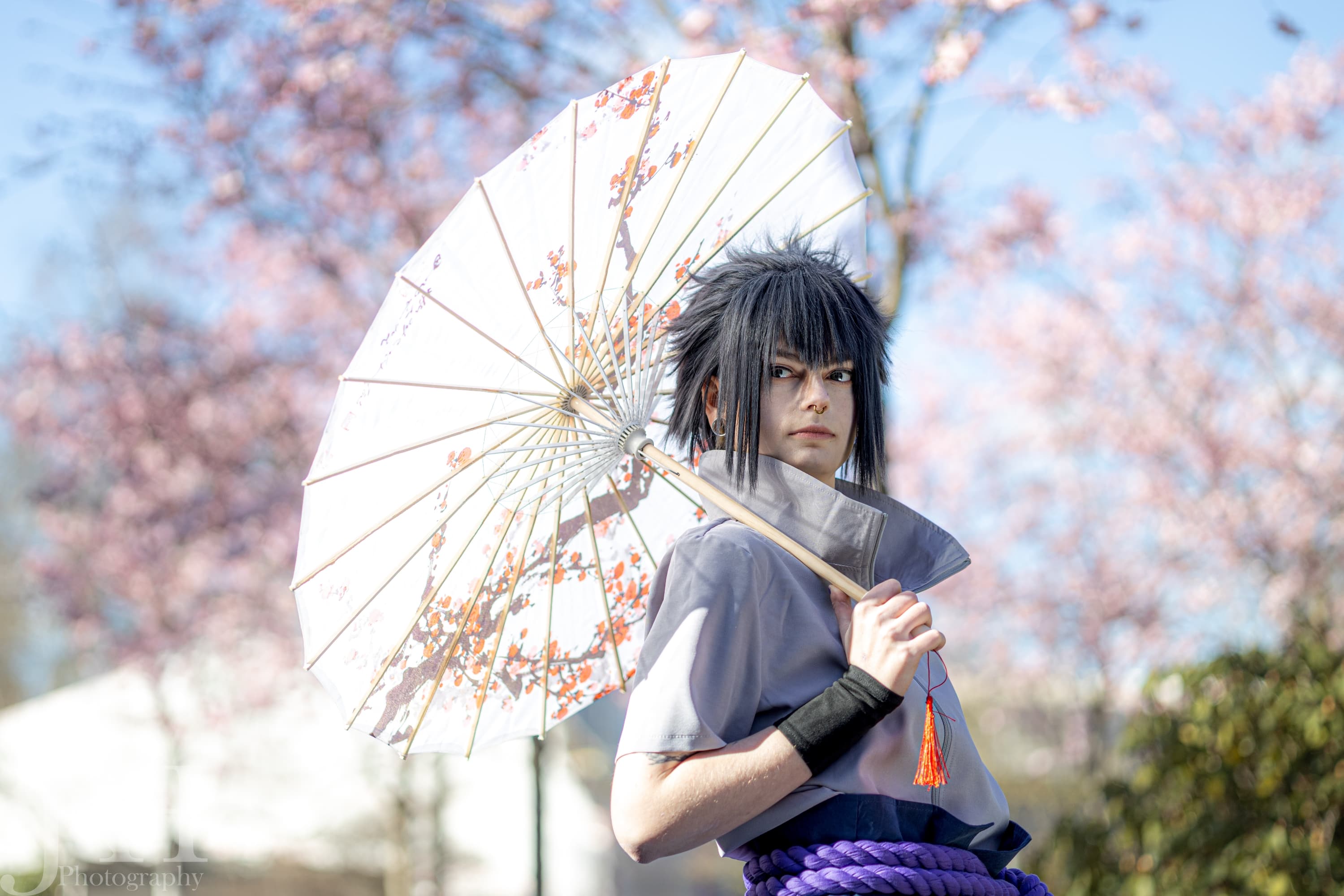 Cherry Blossoms - Photo 1