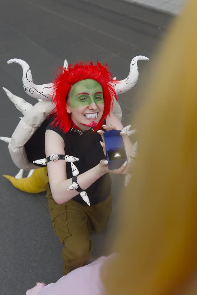 Bowser et Peach - Photo 3