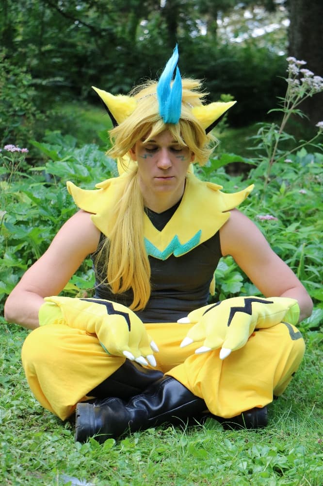 Zeraora & Chats - Photo 9