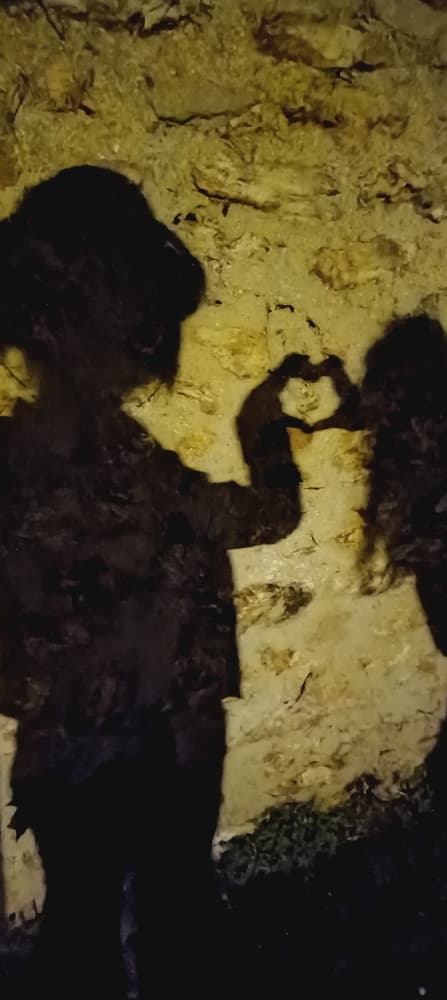 Chuuya x vampire  - Photo 5