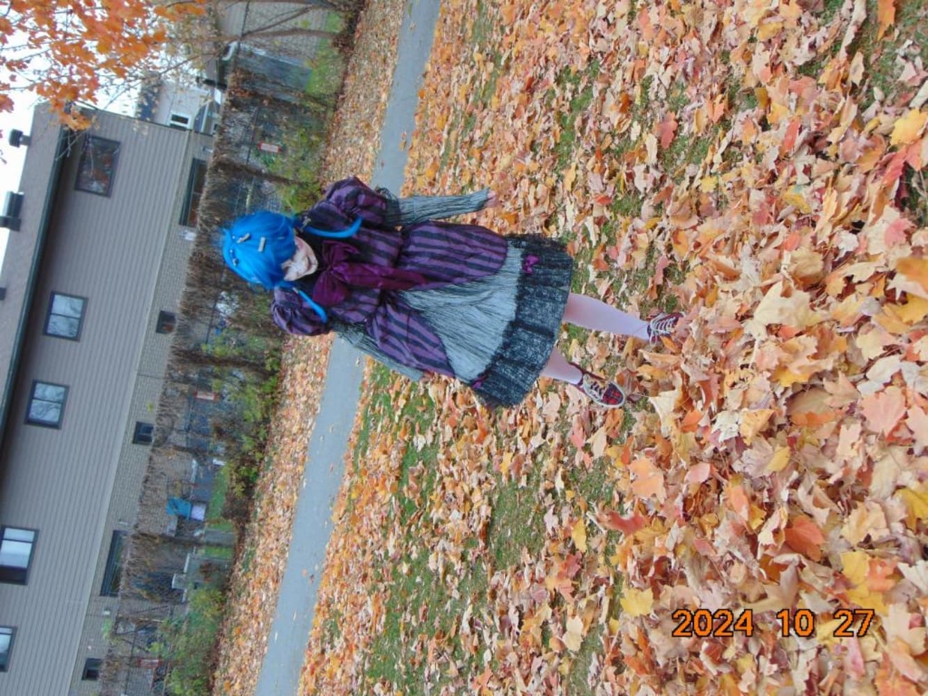 Chaotic Powder Doll - Photo 1