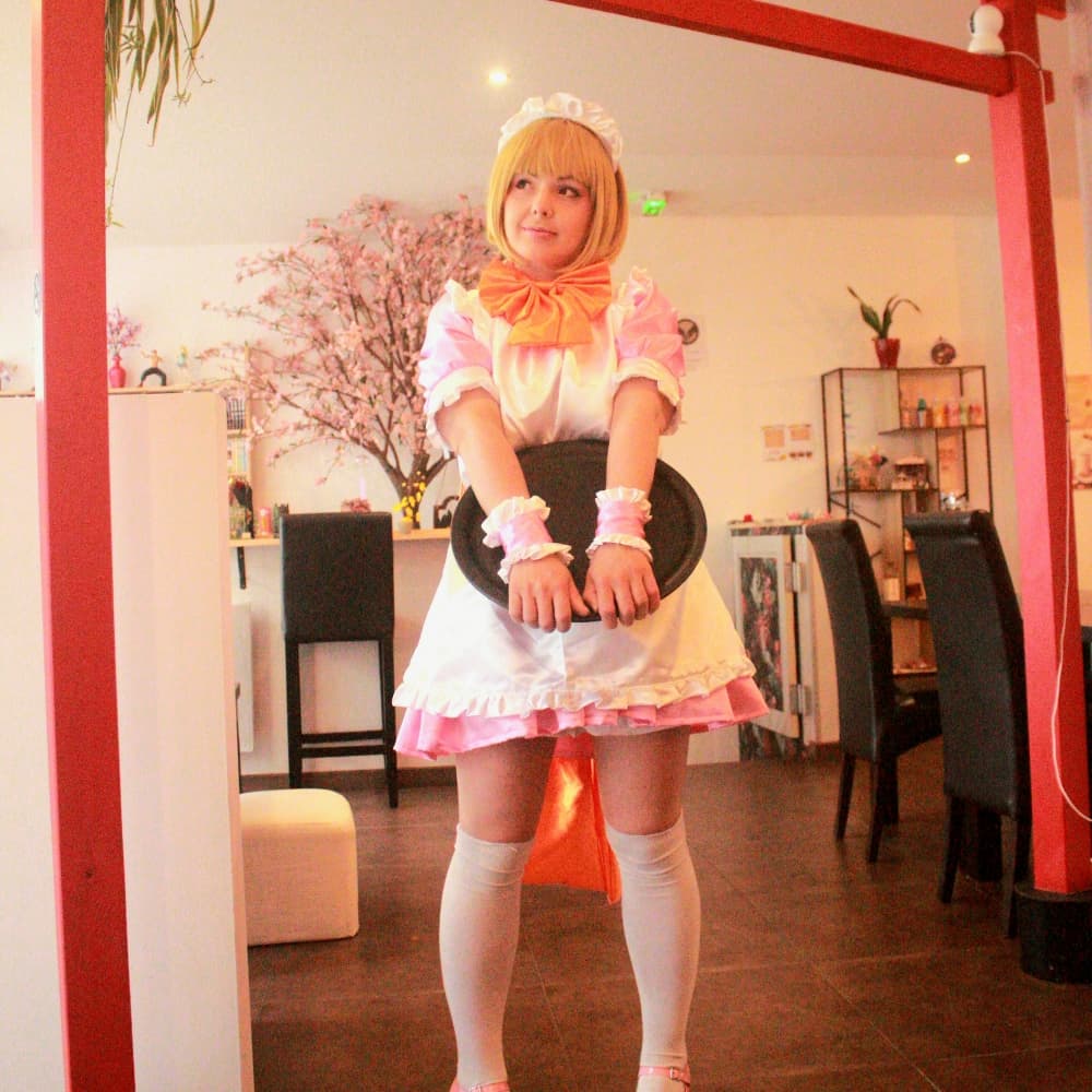 Hiyoko Tosaka Maid
