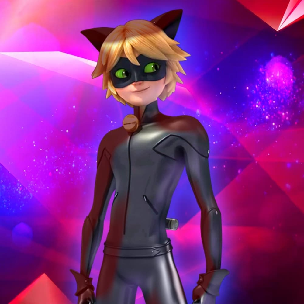 Chat Noir (S 1-5)