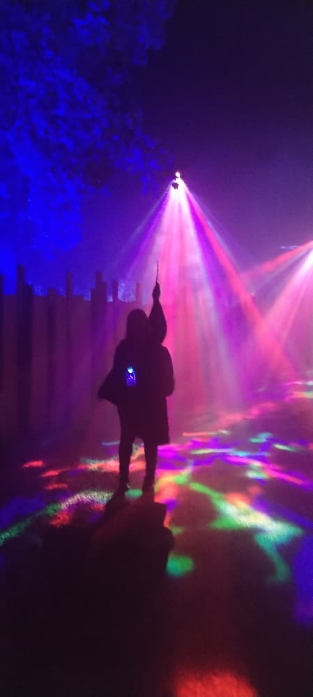 La forêt interdite - Photo 48