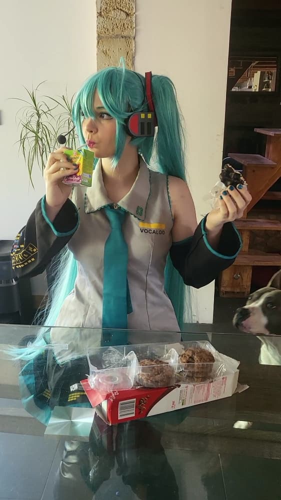 Miku - Photo 6