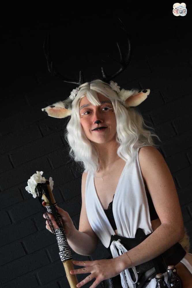 Faune noir et blanc - Photo 12