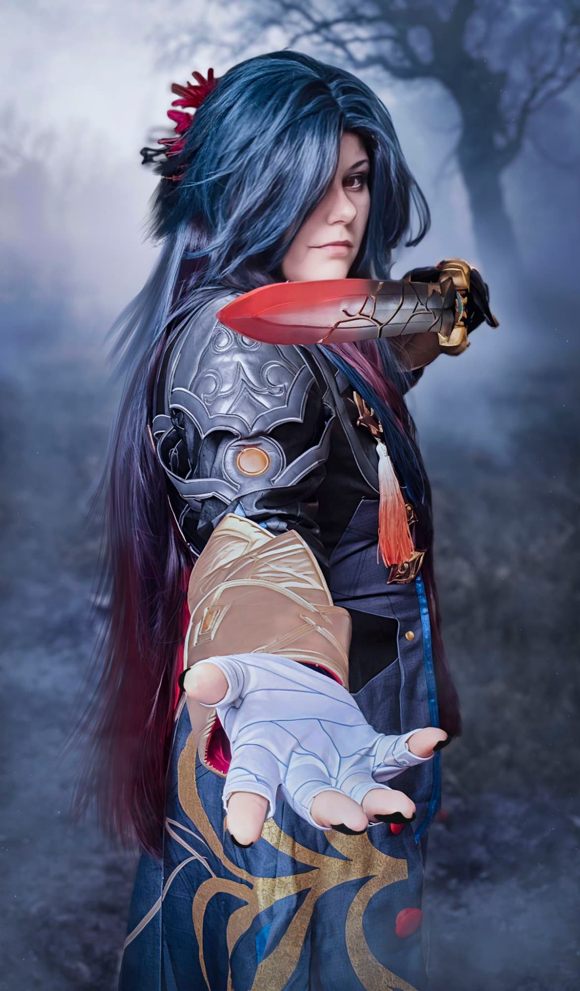 Blade honkai - Photo 1