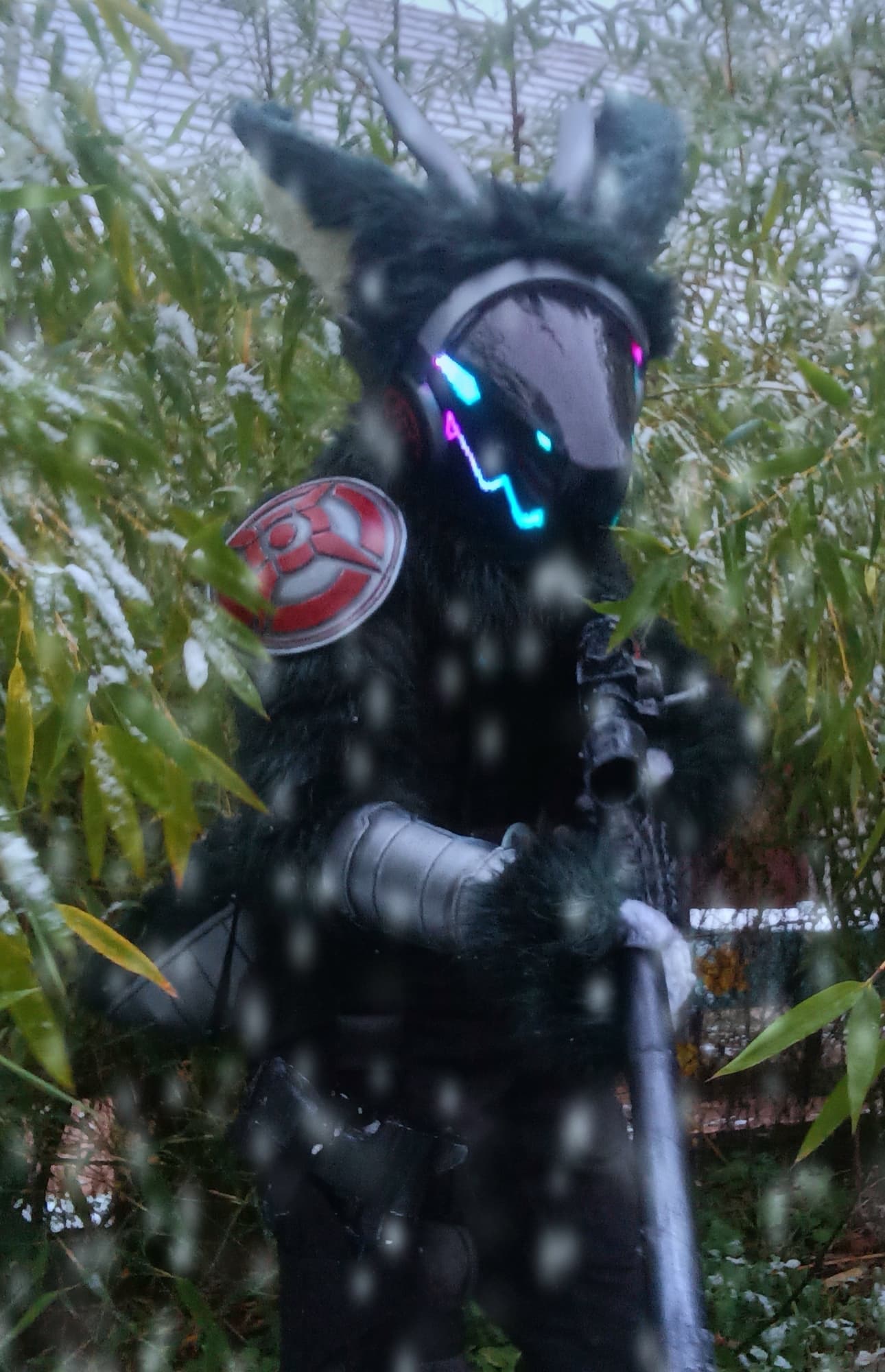 Let it snow 🎶 - Photo 2