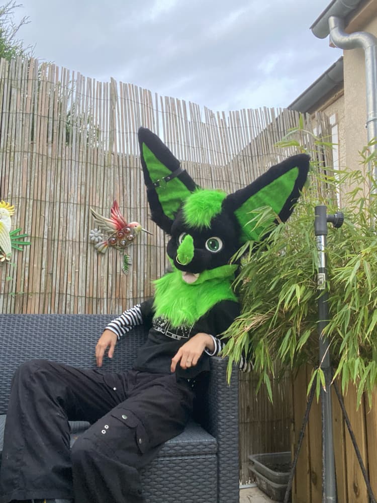 Photos Razzor - Photo 4