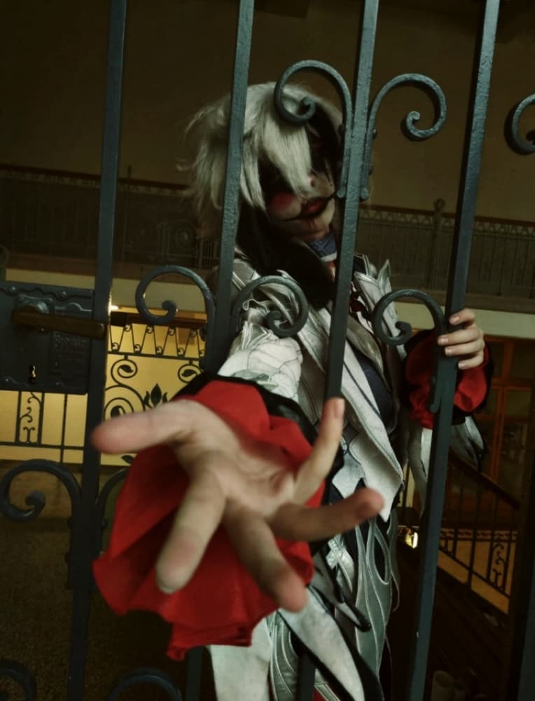 Arlecchino - Photo 4