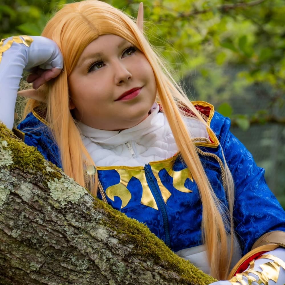 Zelda BOTW - Photo 11