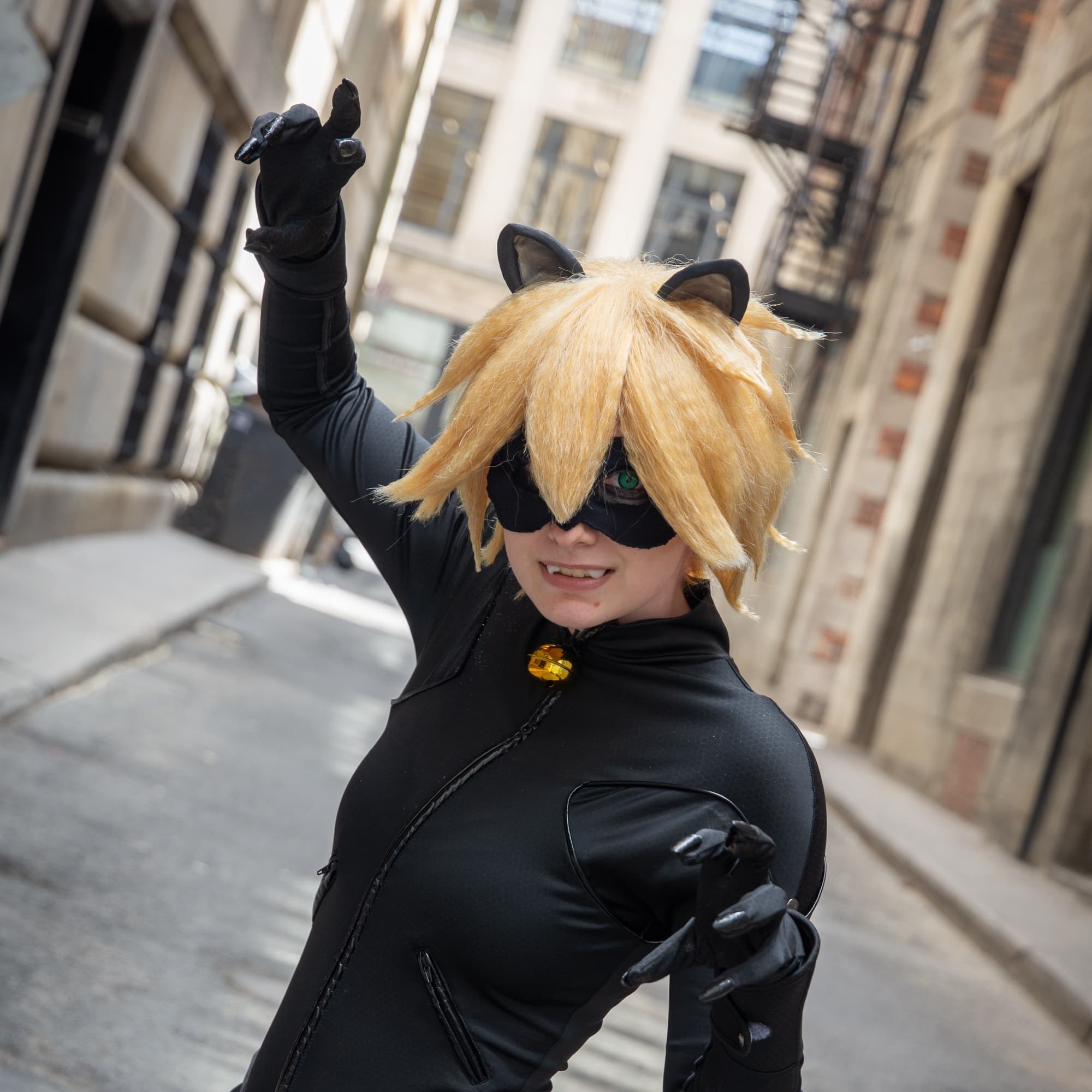 Chat Noir