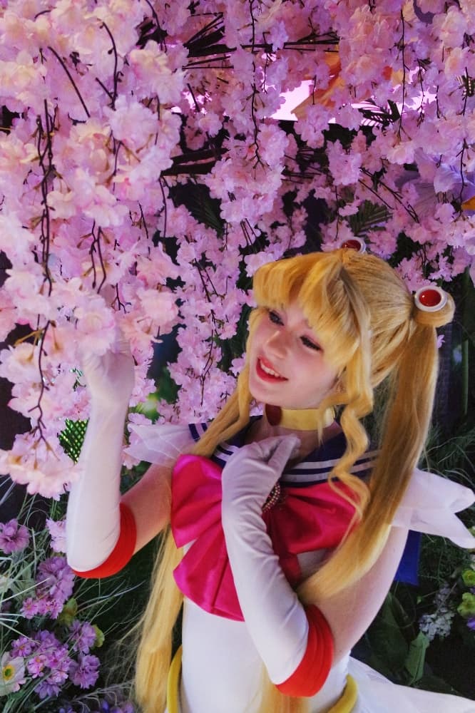 Sailor Moon - Photo 25