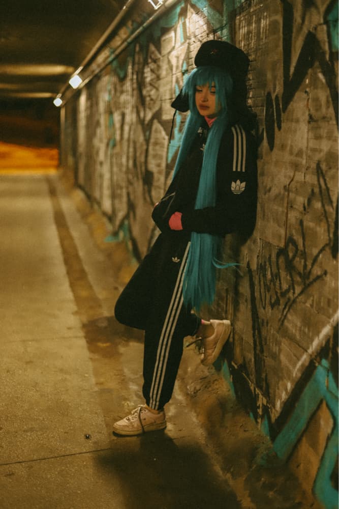 Miku de l’Est 1 - Photo 4