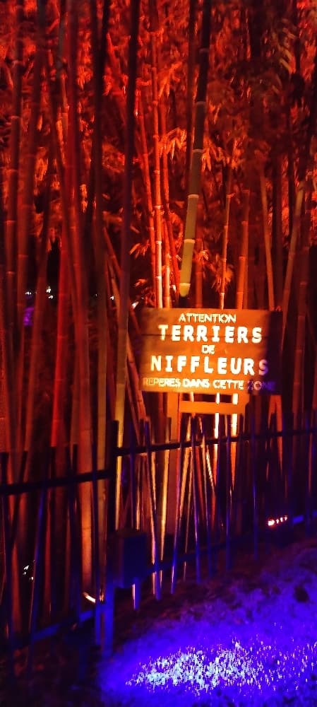 La forêt interdite - Photo 43