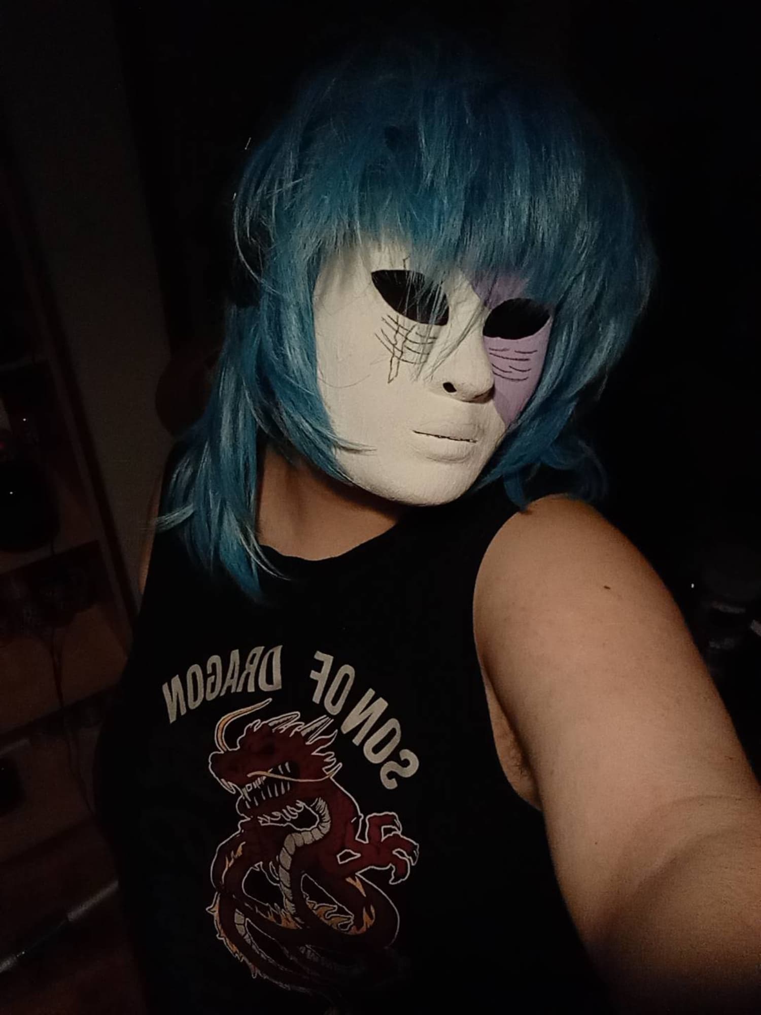 Sally face - Photo 1