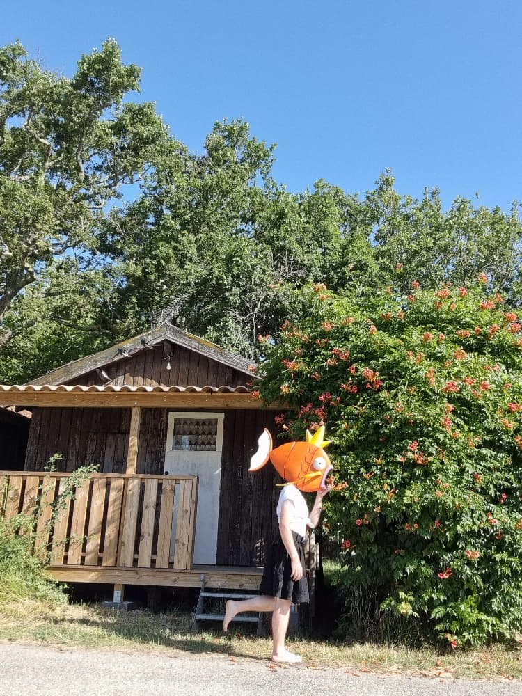 MagicarpettePortBiga - Photo 9