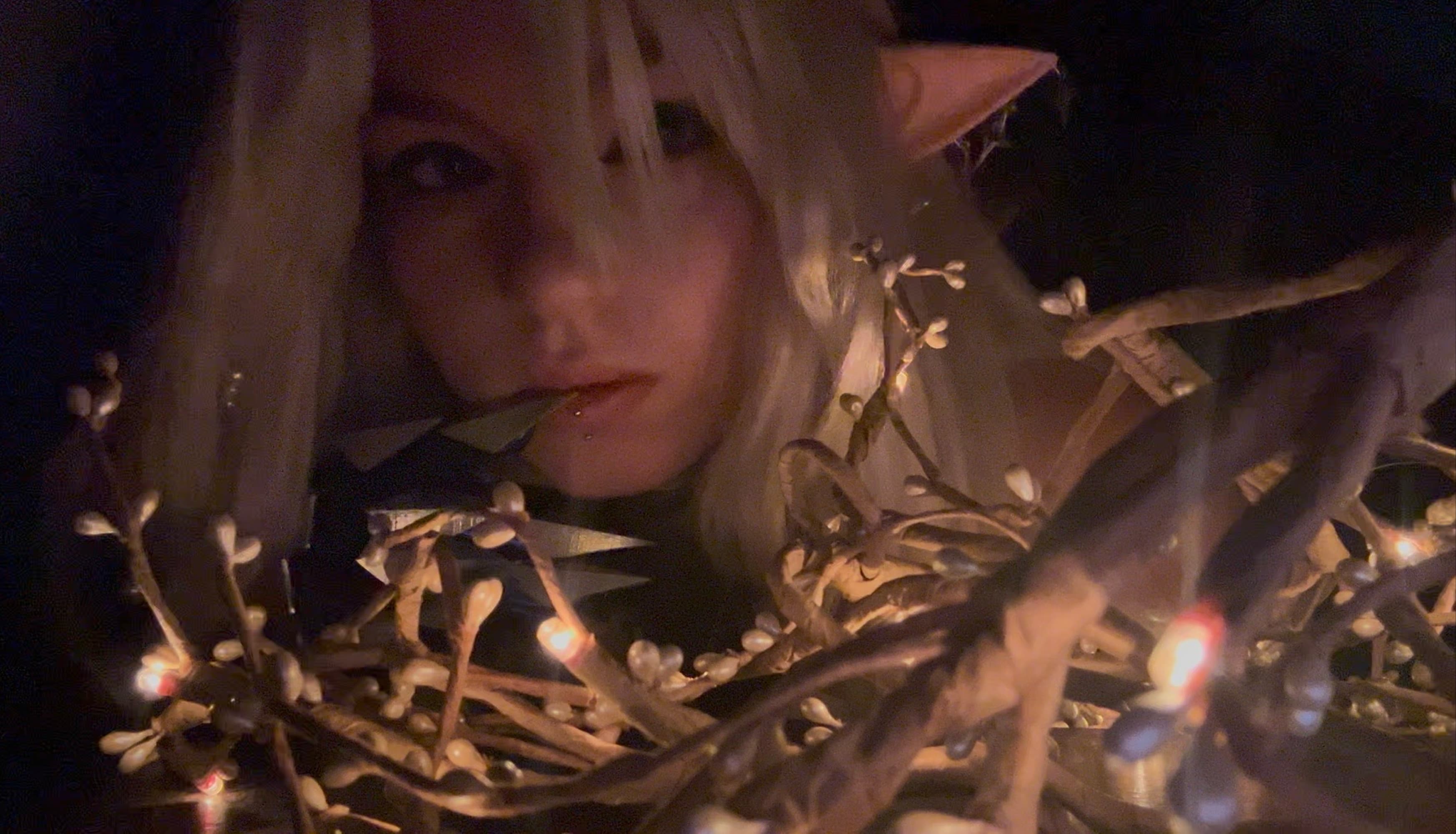 FDL shoot at home - Photo 2