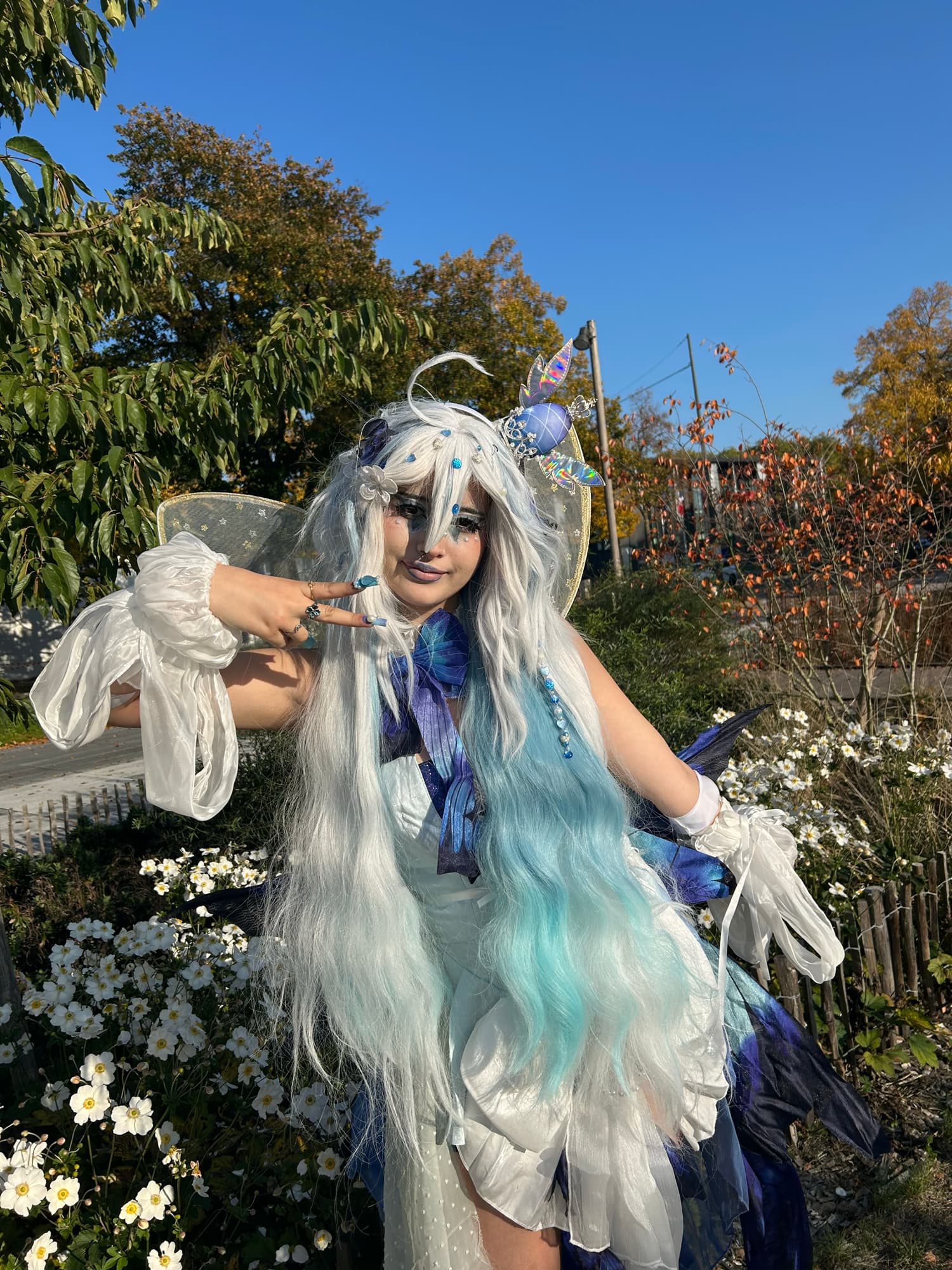 Miku butterfly  - Photo 5