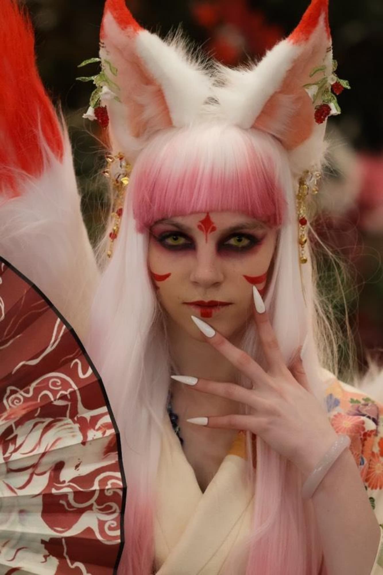 Kitsune - Photo 1
