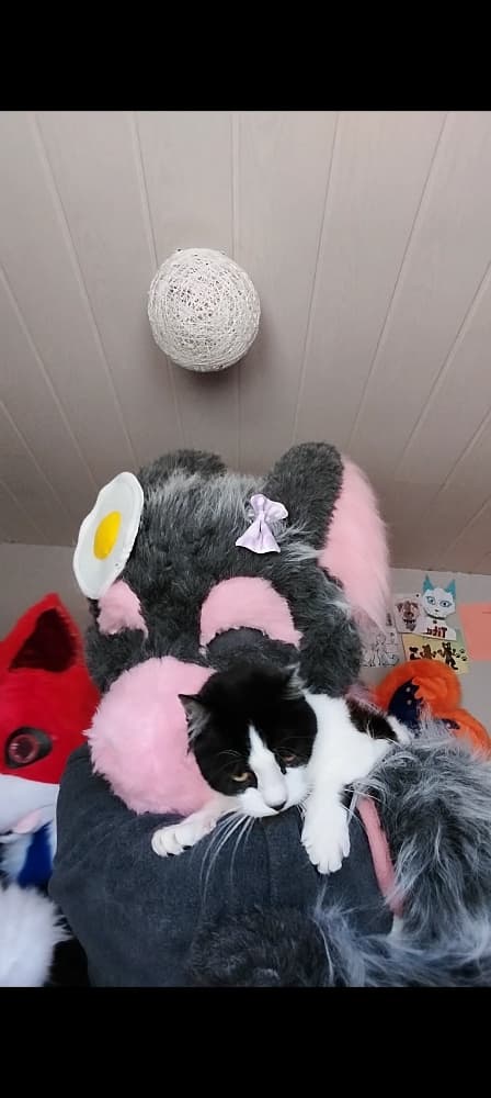 Chaloupinge&Rød Ulva - Photo 1