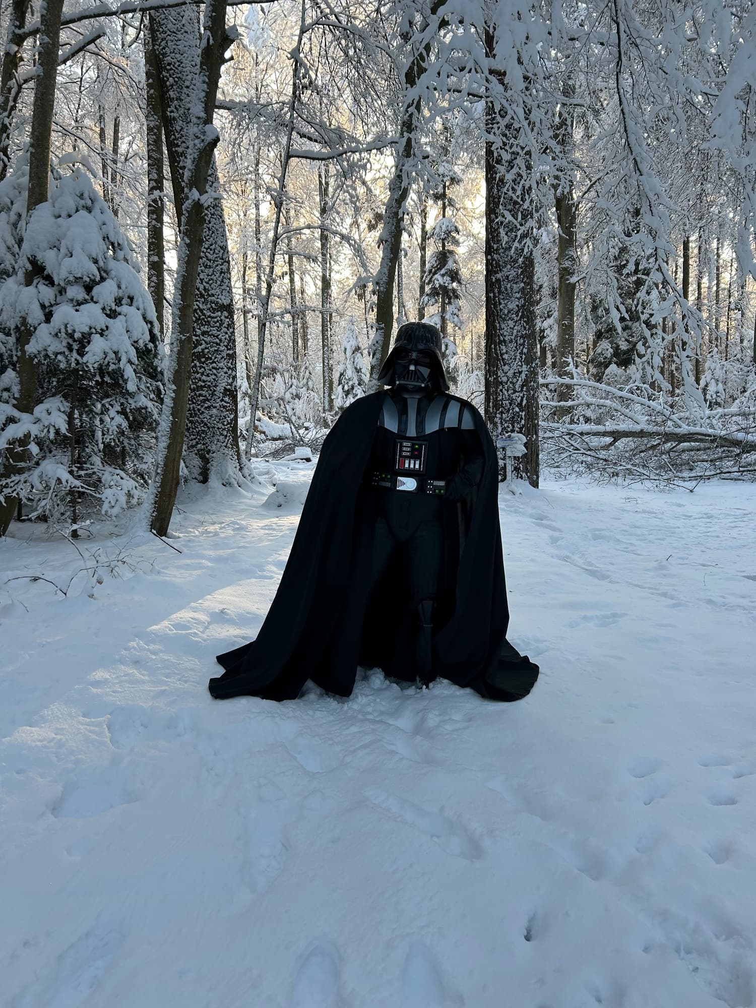 Snow Vader - Photo 28