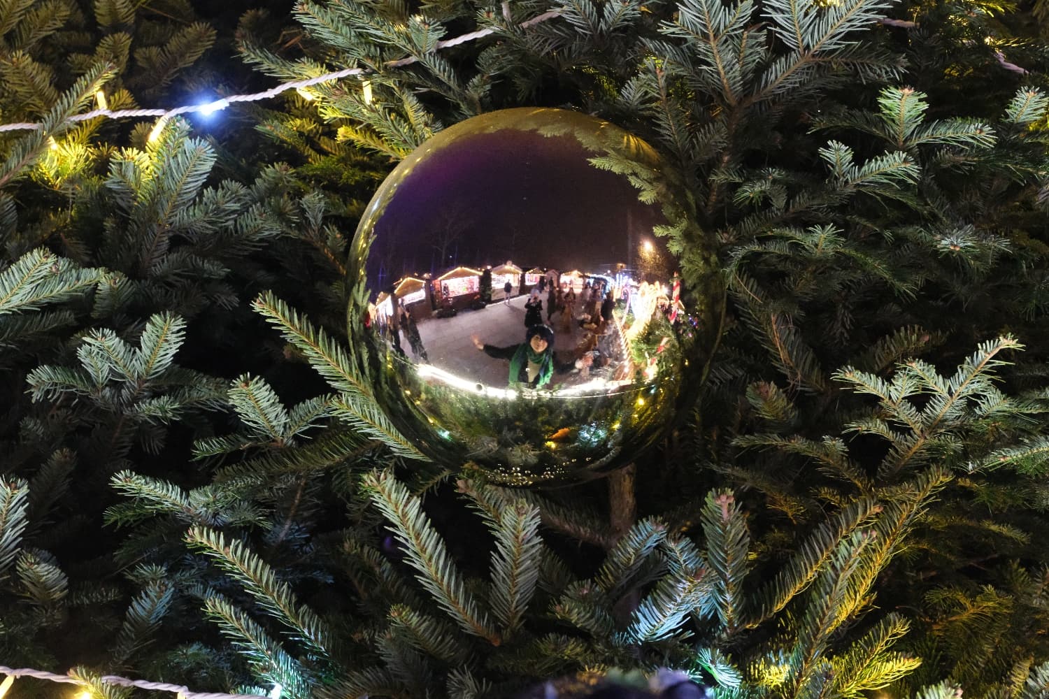 Venti Noël  - Photo 5