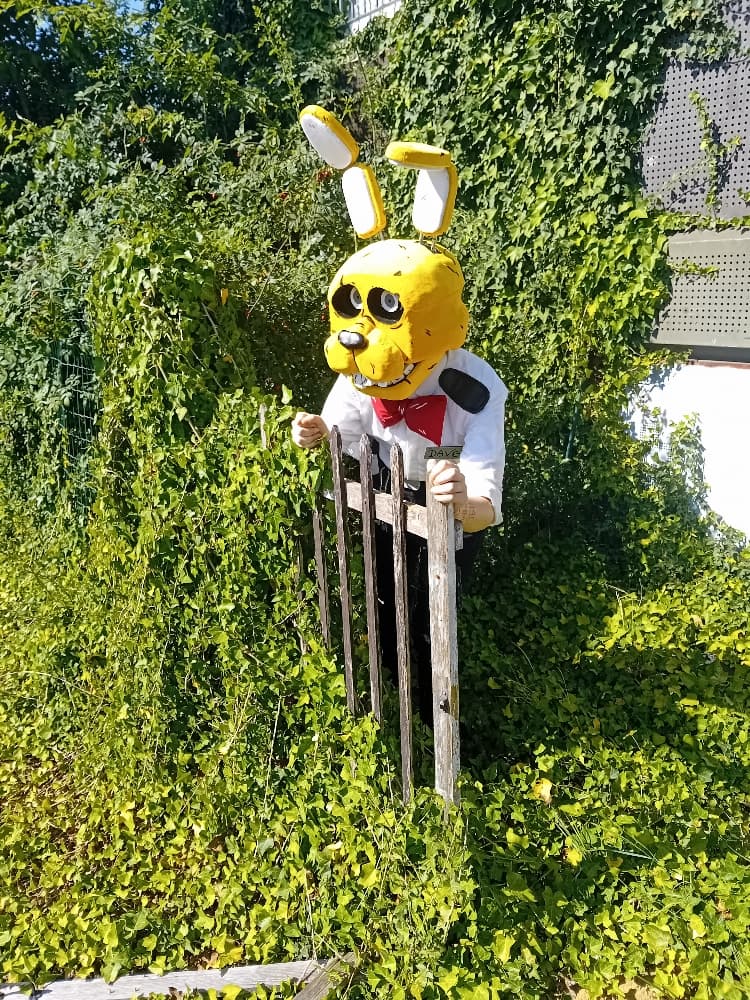 Dave Miller - Photo 1