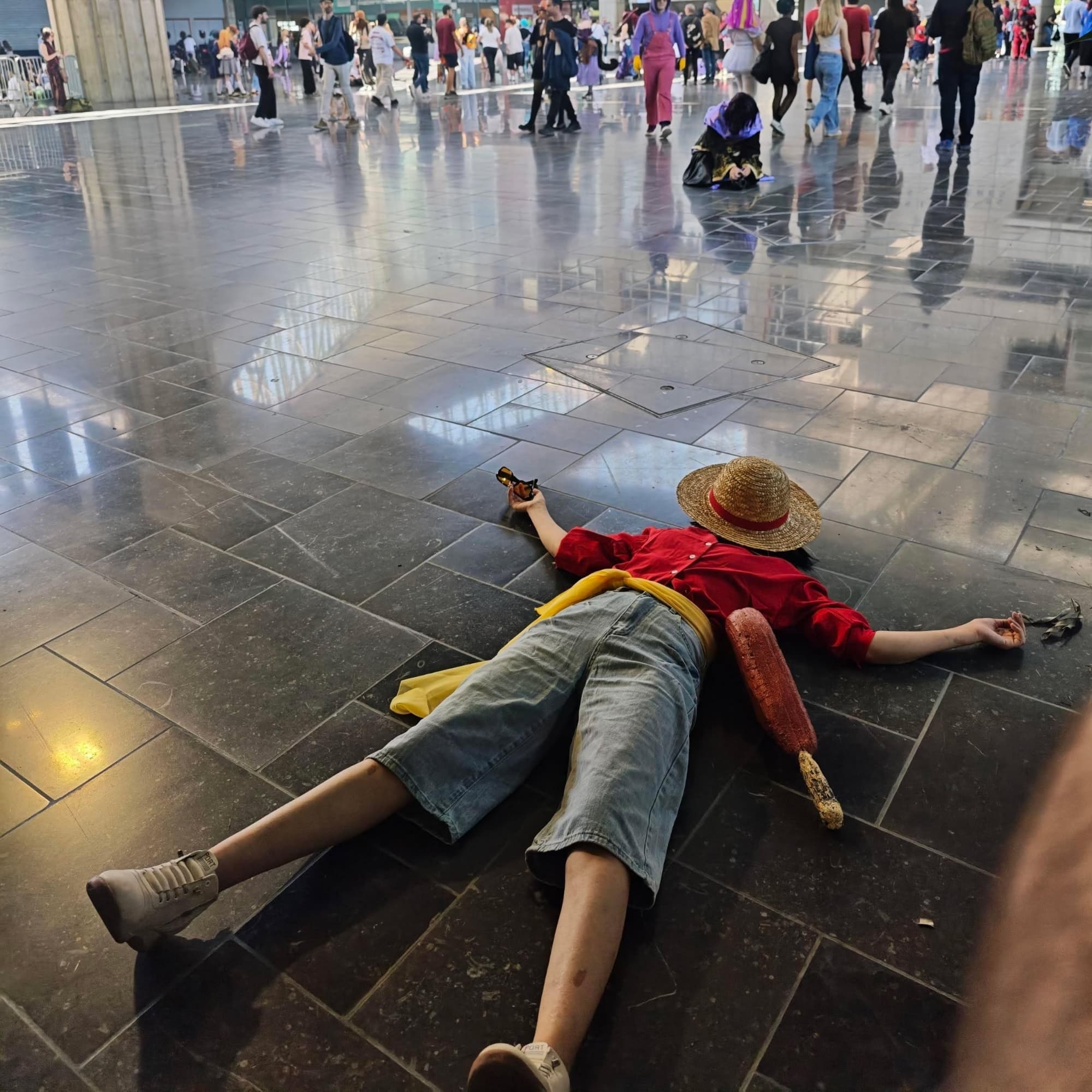 Luffy 