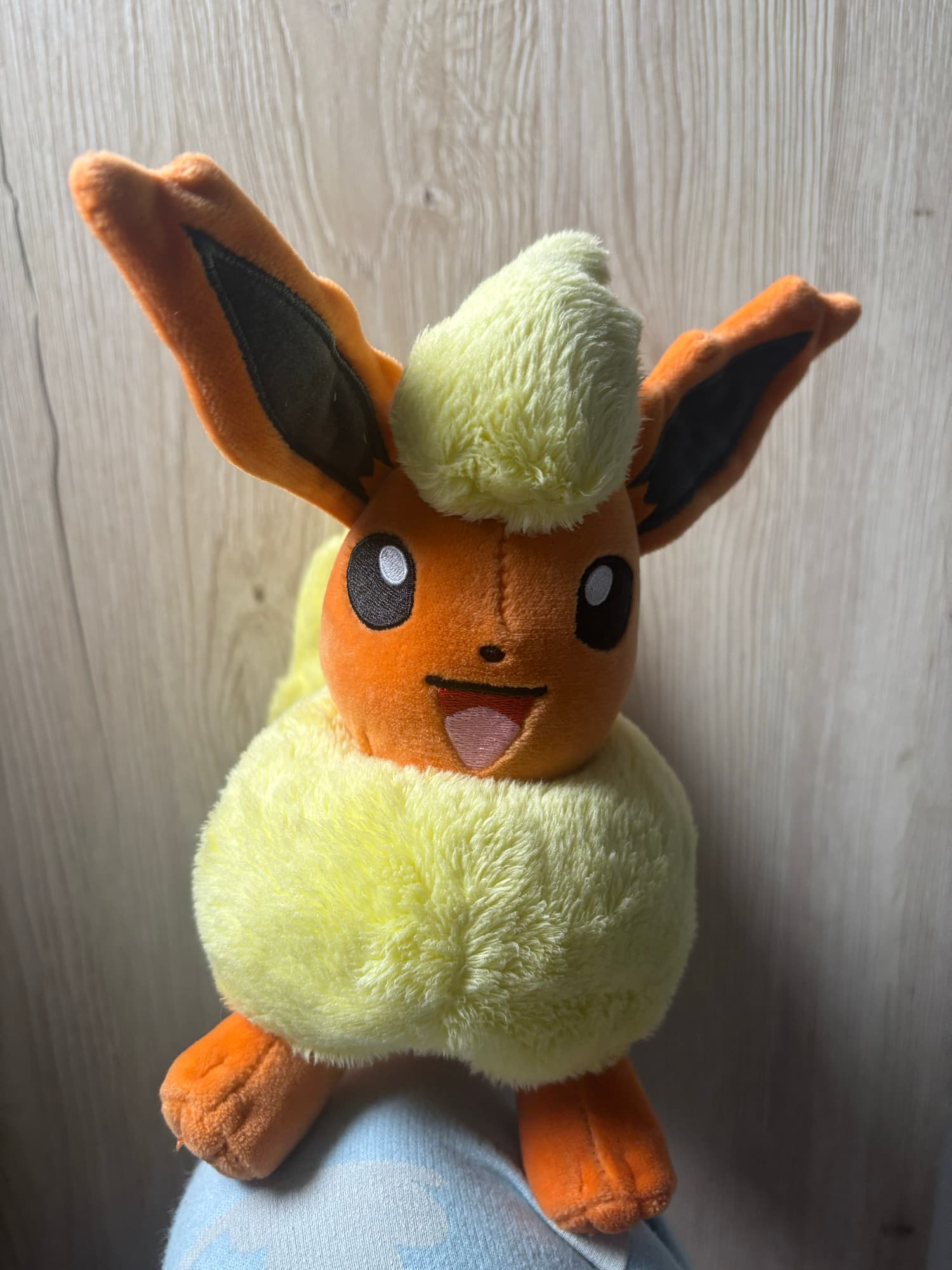 Evoli en Pyroli  - Photo 7