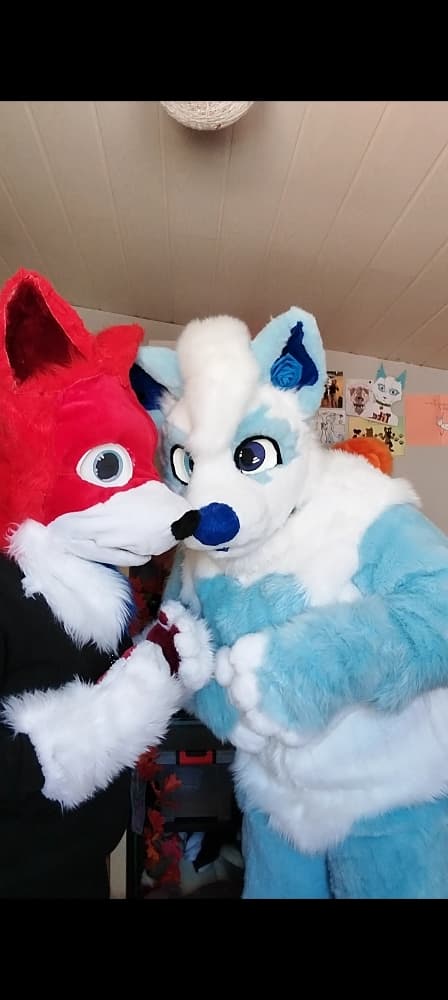 Titan et Rød Ulva - Photo 3