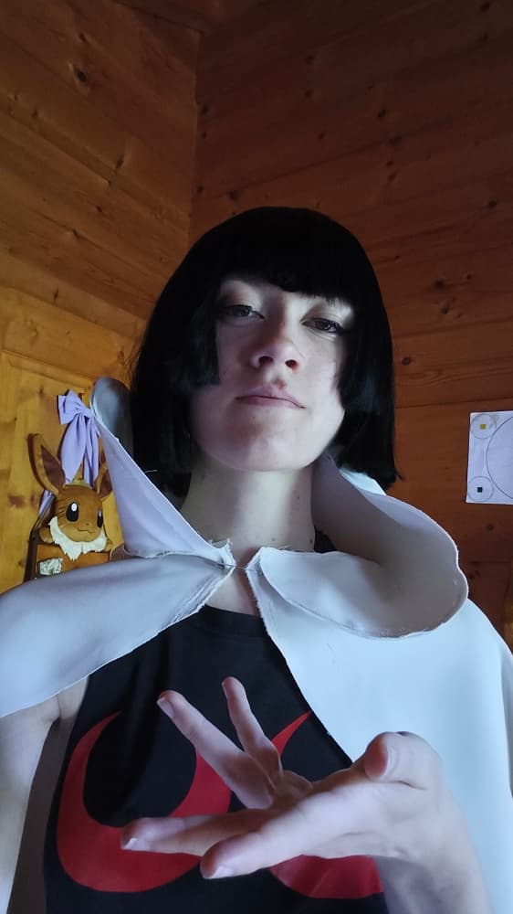 Amaryllis (costest) - Photo 2