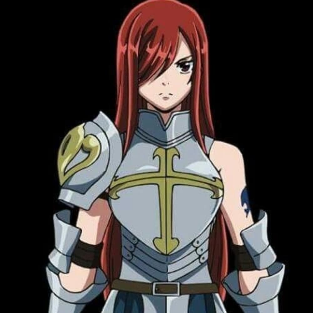 Erza armure 