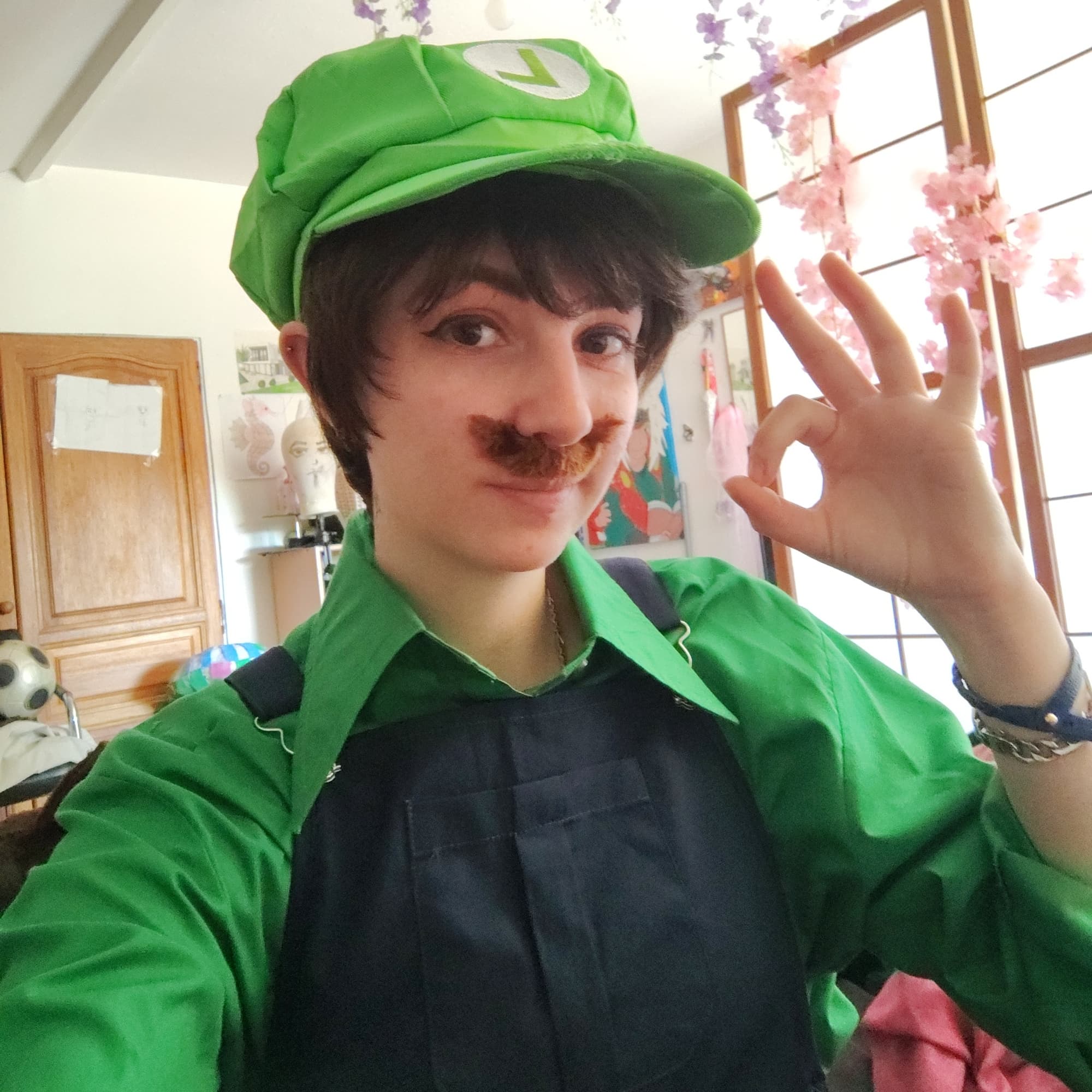 Luigi - Mario cosplay photoshoot cover