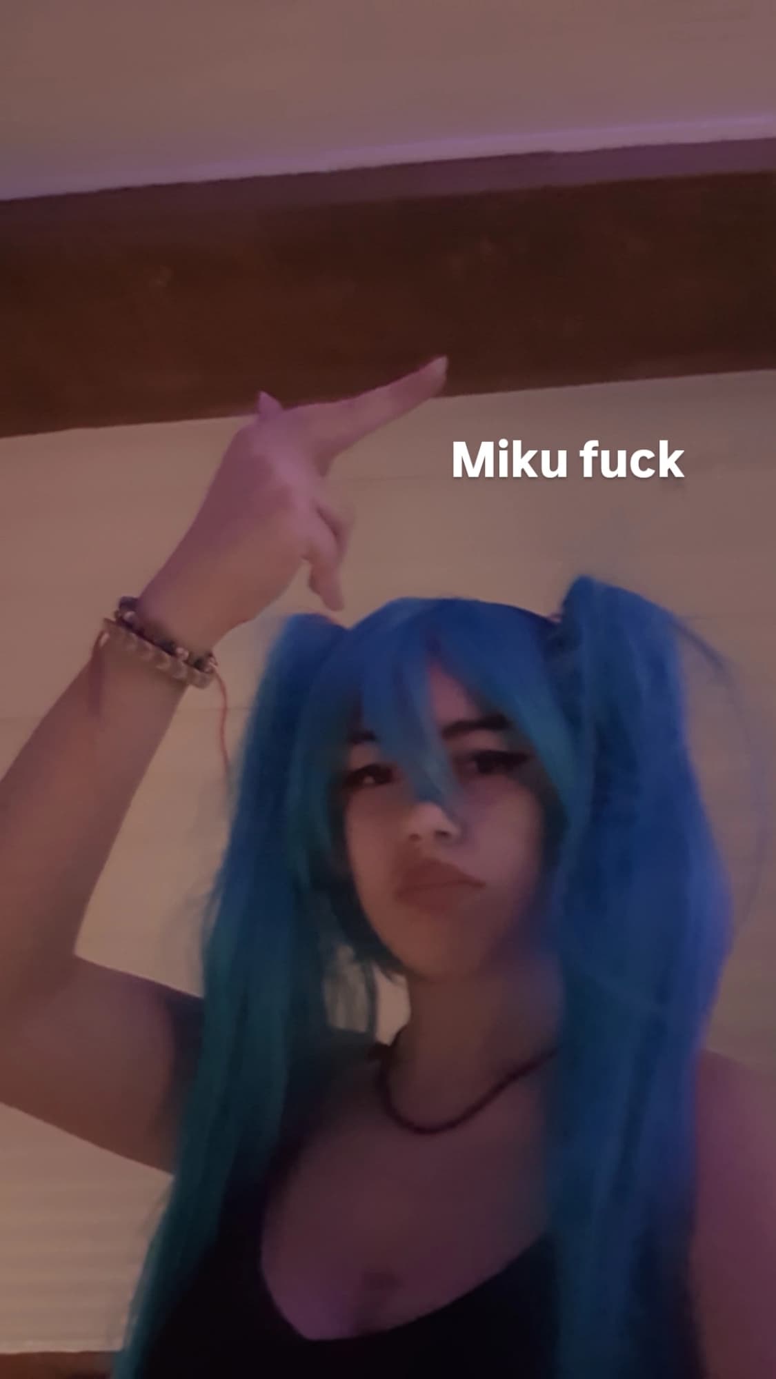 Miku (beta) - Photo 1