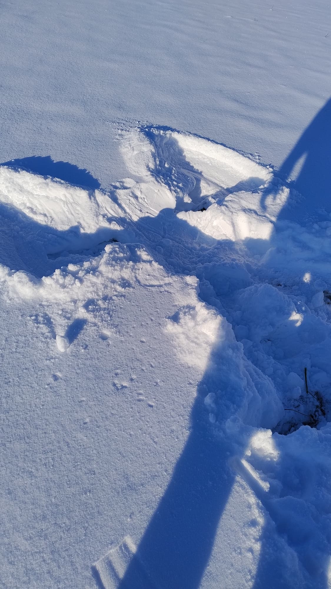 Général adam - Photo 2