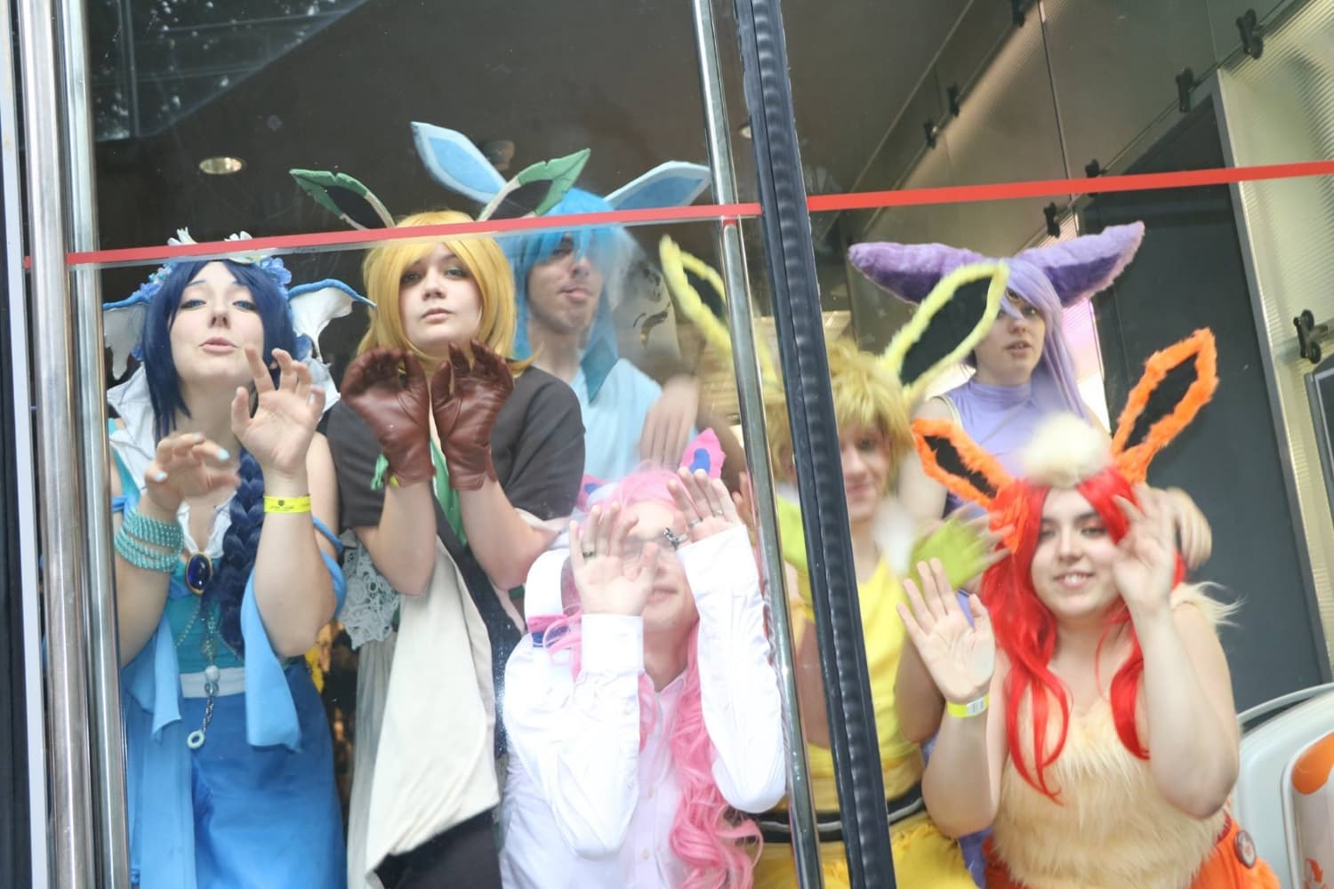 Famille Evoli - Photo 3