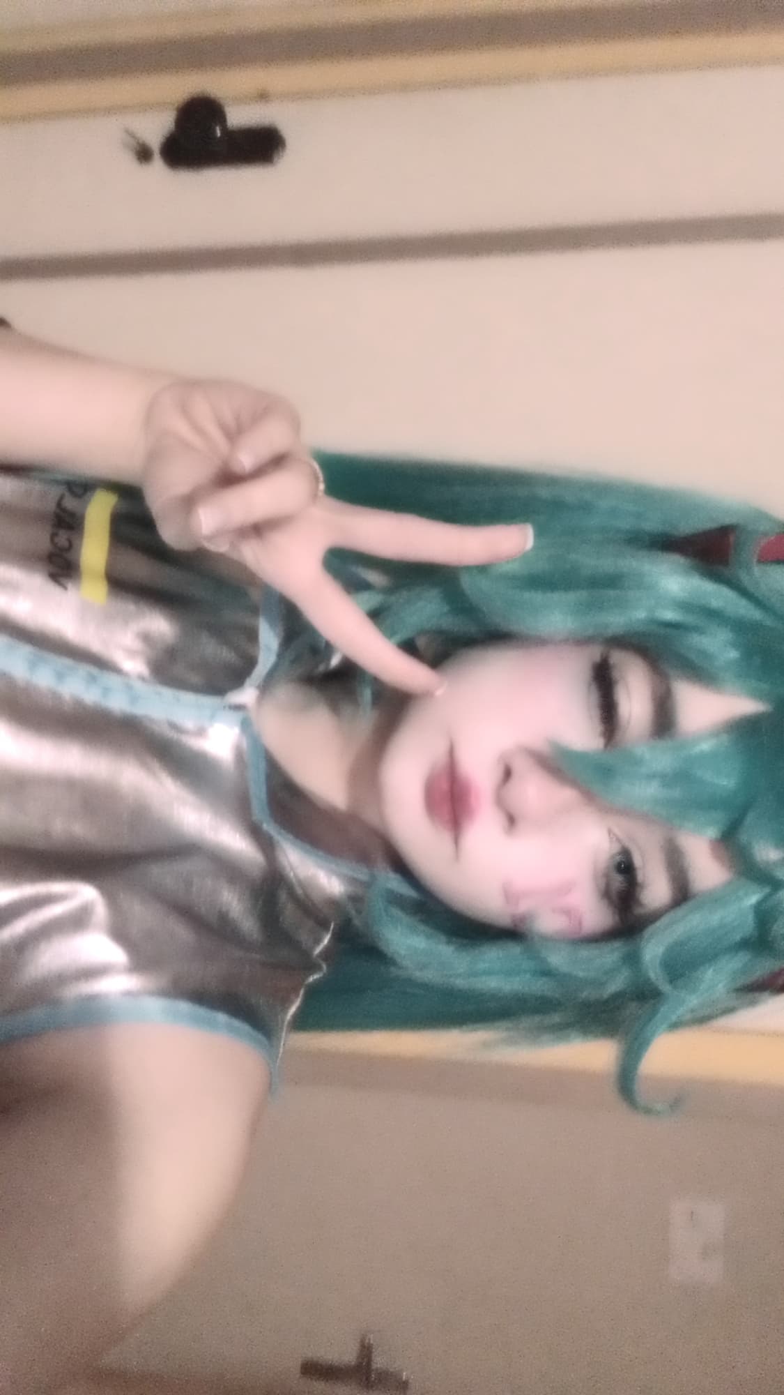 Hatsune miku - Photo 2