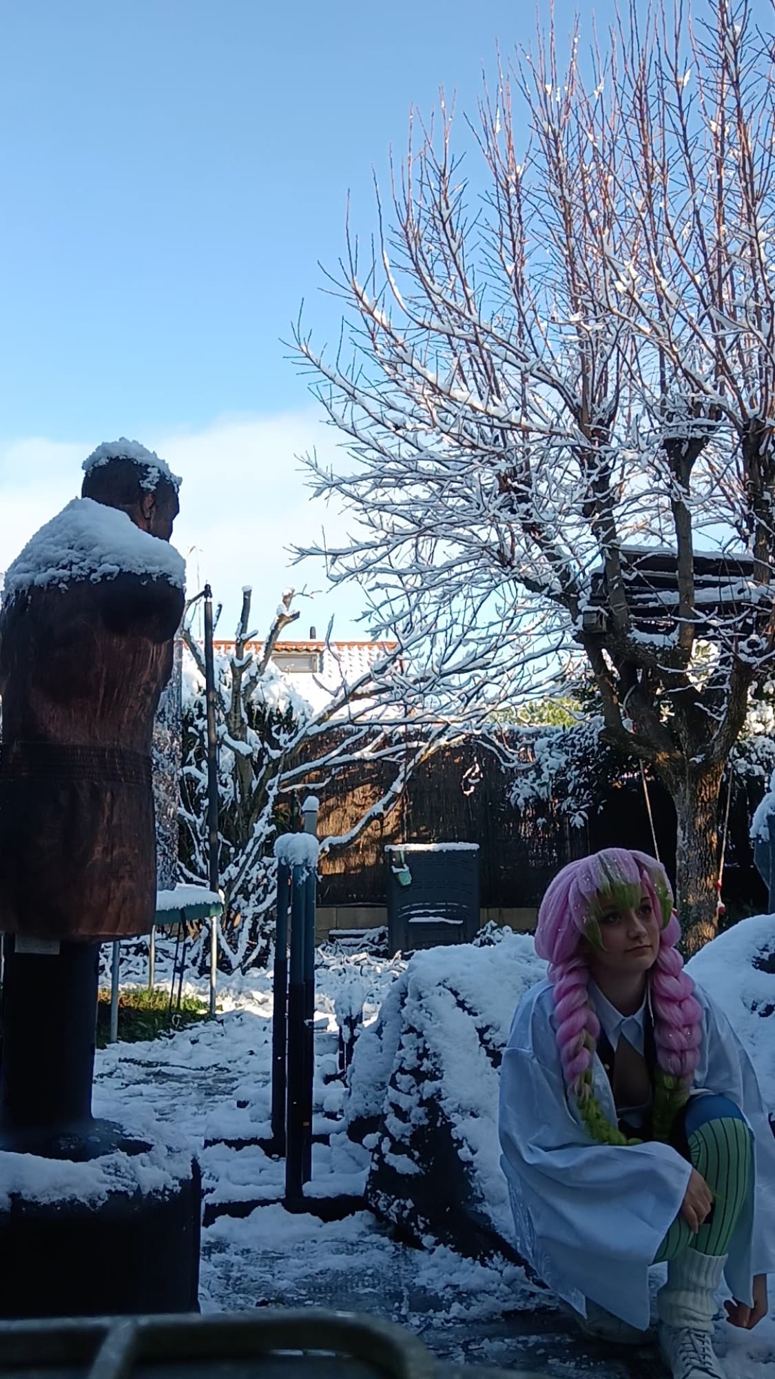 Mitsuri Kanroji - Photo 17