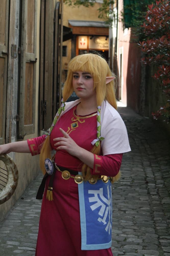 Zelda Skyward Sword  - Photo 12
