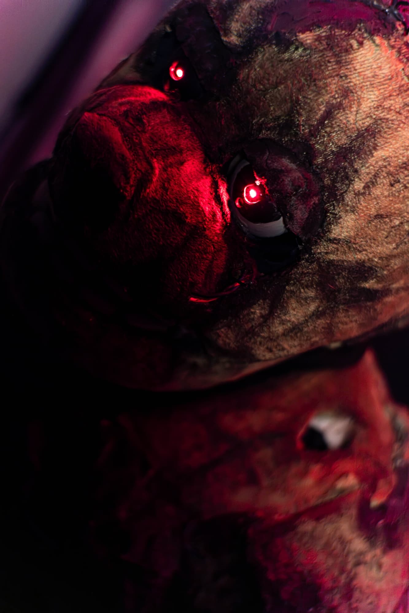 Shoot special - Photo 1