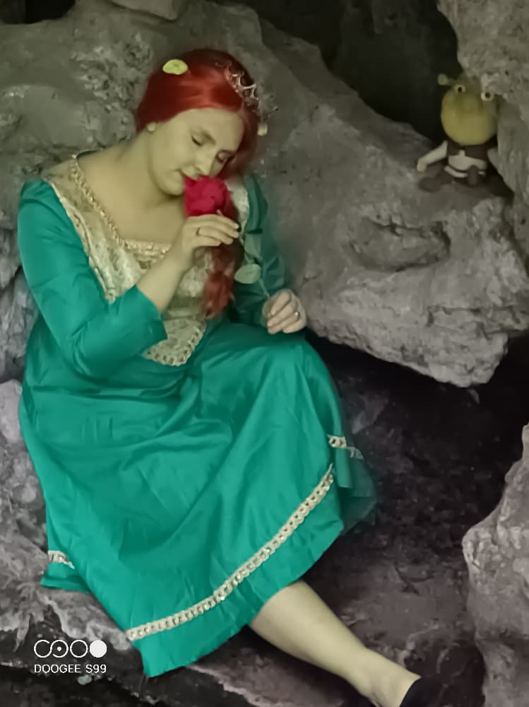 Fiona (shrek) - Photo 2