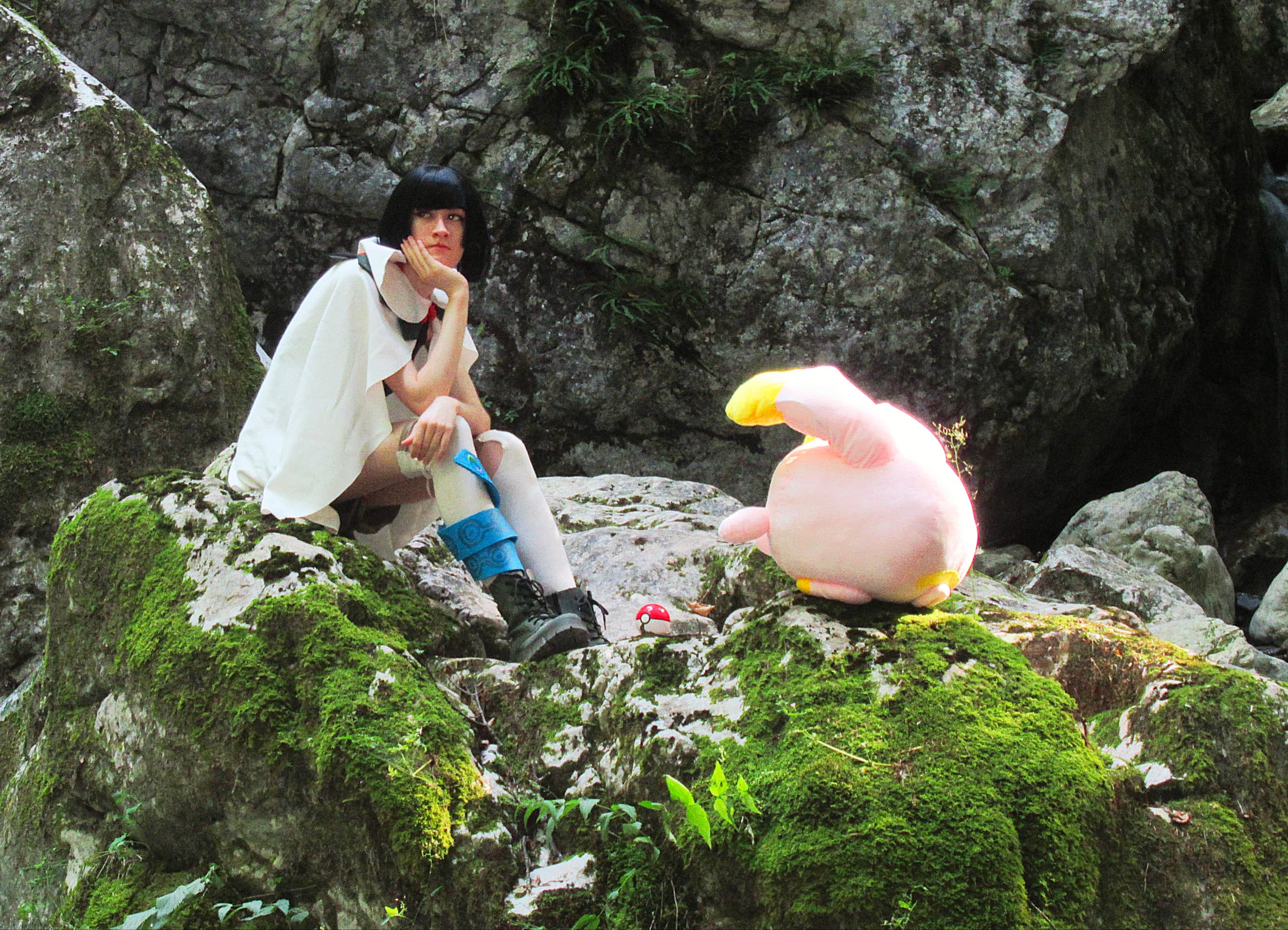 Amaryllis P1  - Photo 11