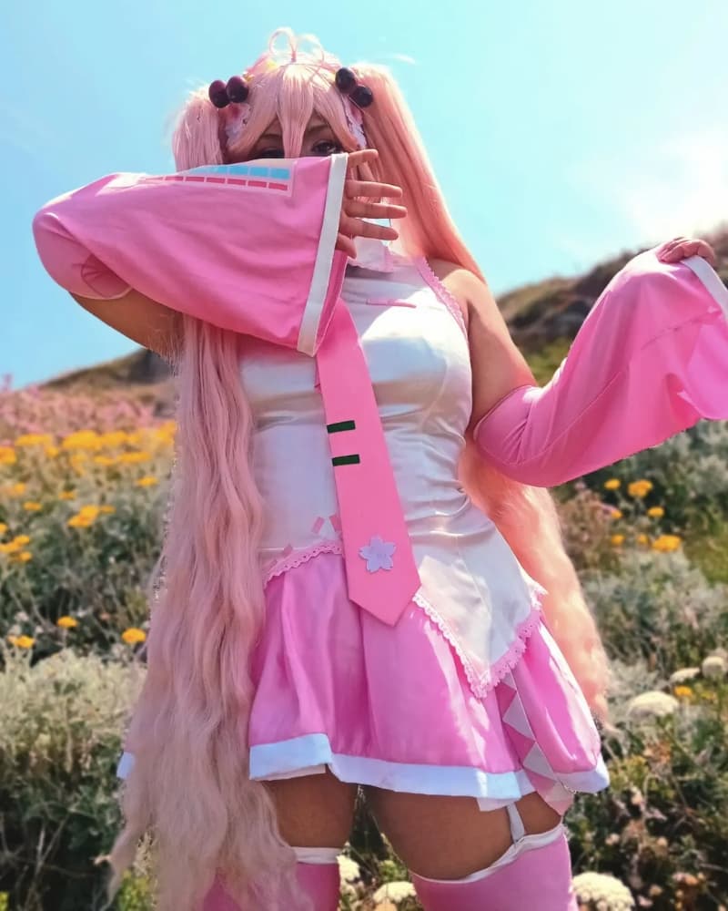 Miku sakura  - Photo 1