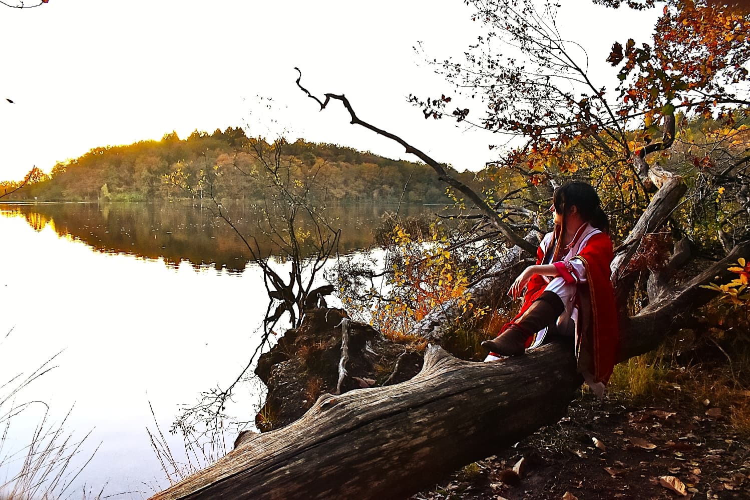 San Lang Forest 2023 - Photo 2