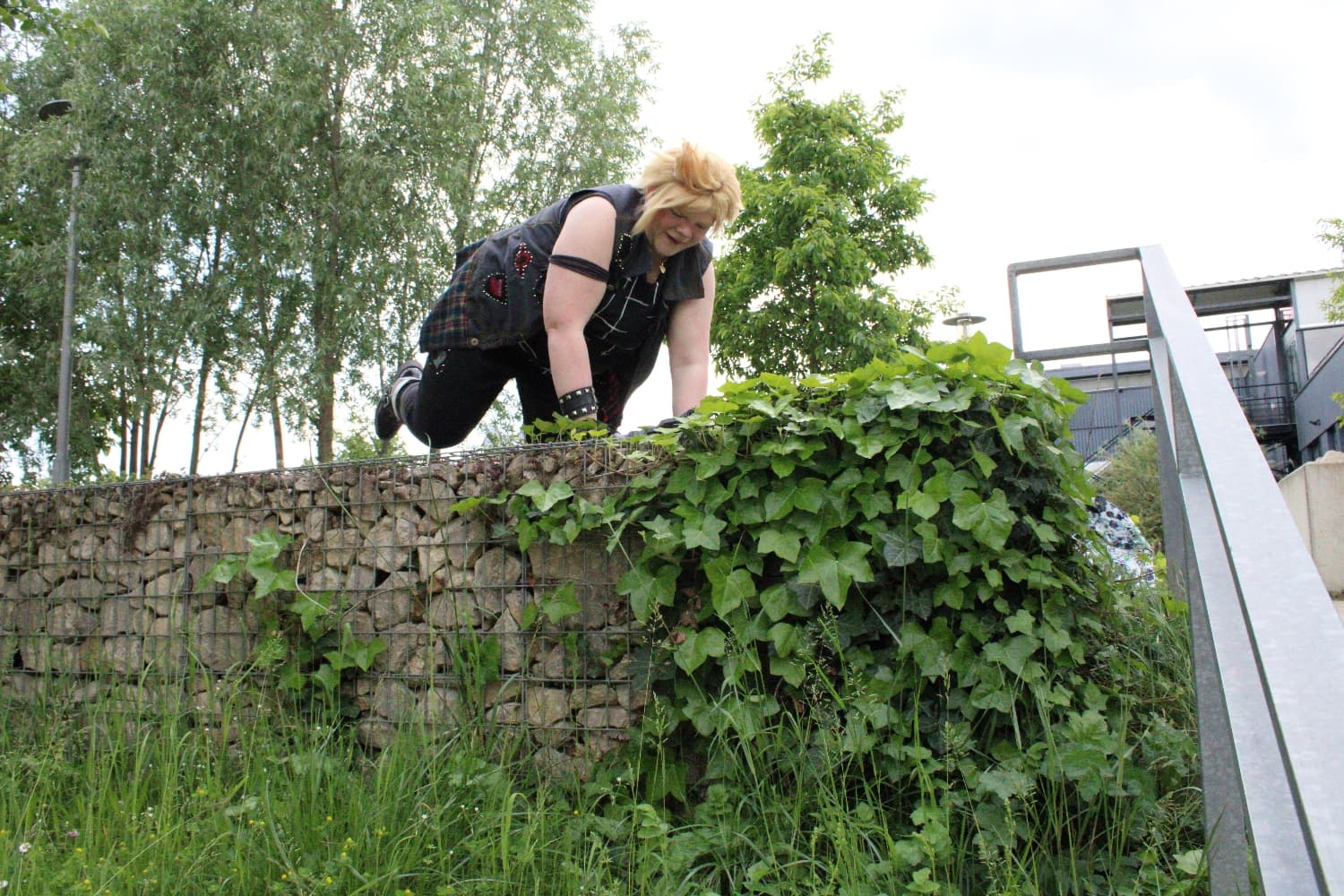 Prompto argentum  - Photo 17