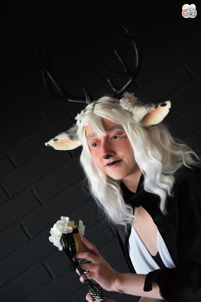 Faune noir et blanc - Photo 3