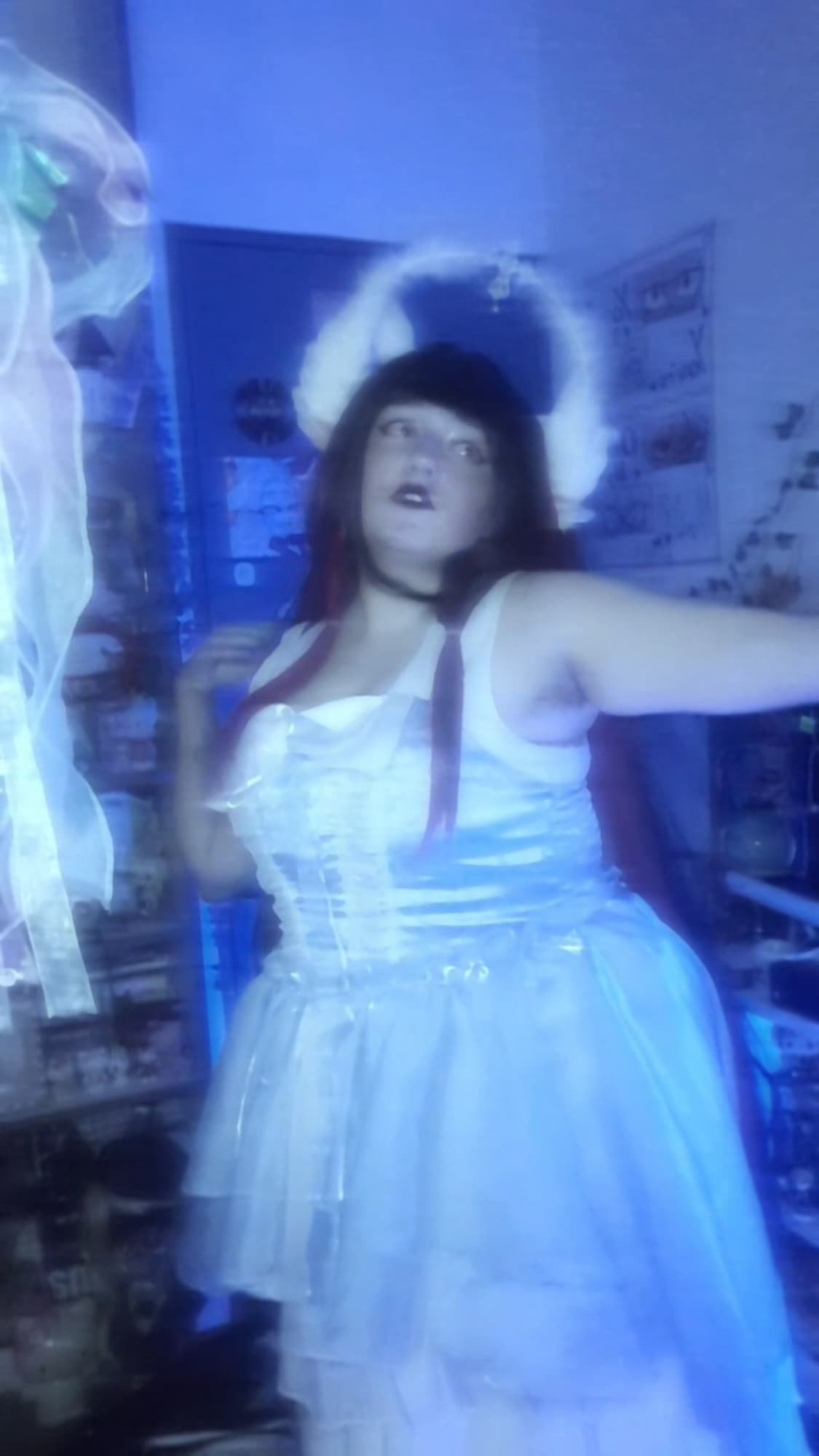 Columbina  - Photo 9