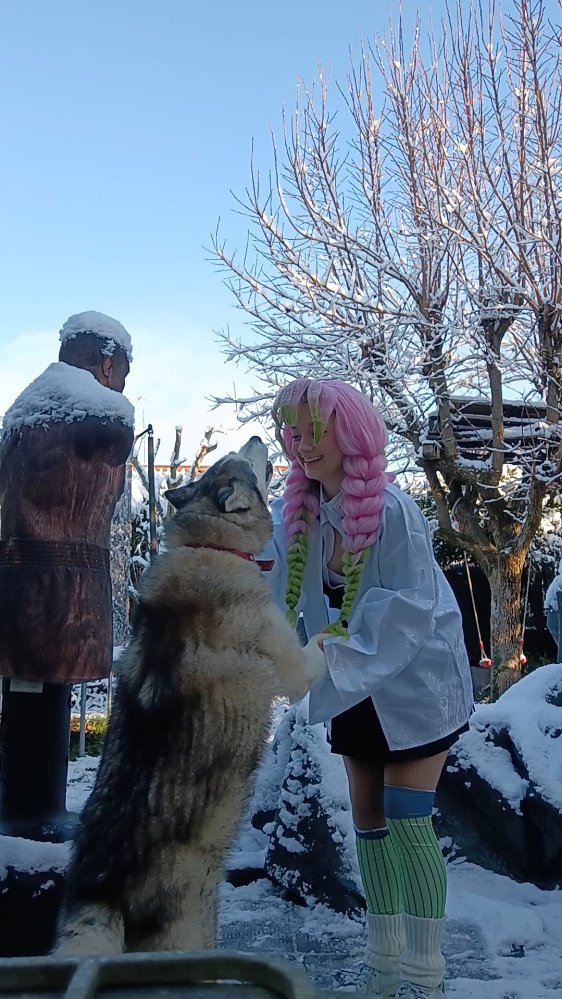 Mitsuri Kanroji - Photo 26